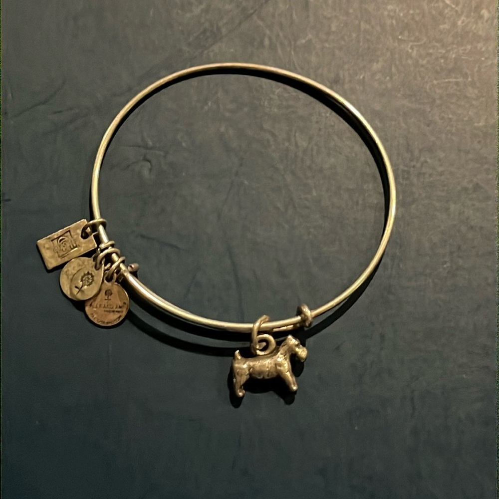 Alex and Ani Monopoly Dog Bracelet